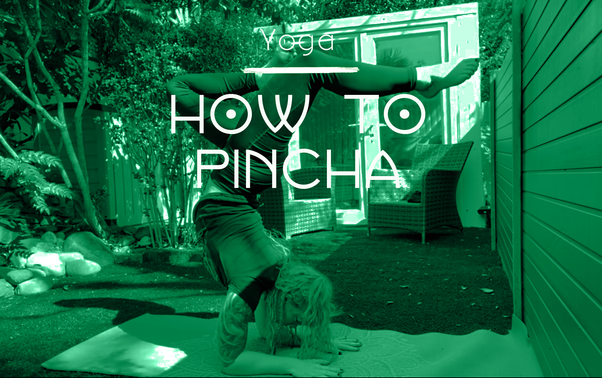 pincha